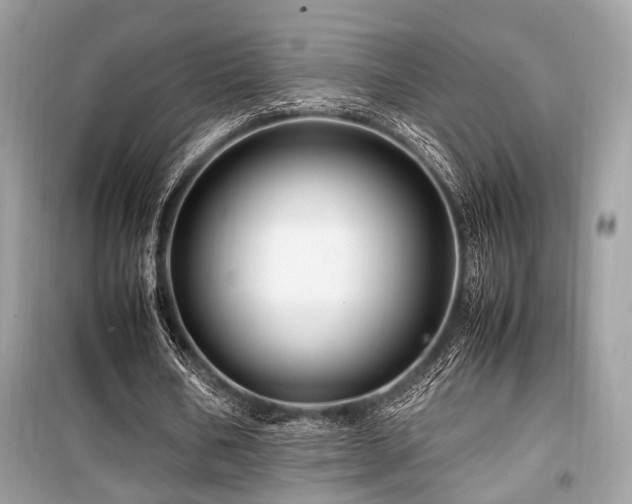 X0000099570578200805161519