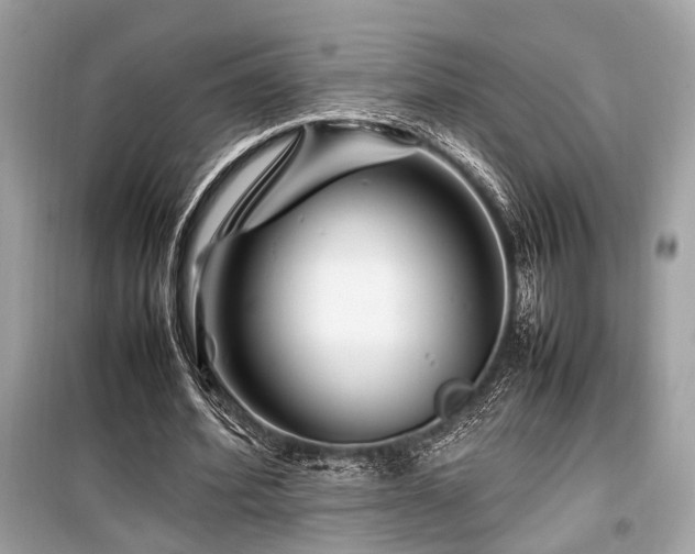 X0000099570580200805161519