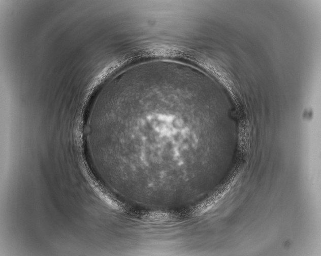 X0000099570581200805161519