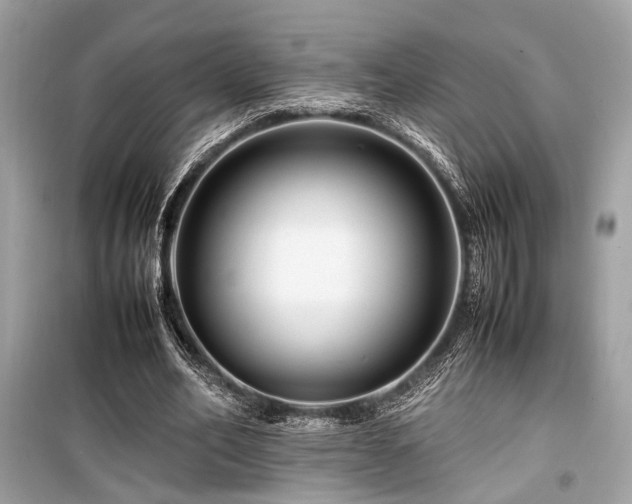 X0000099570582200805161519