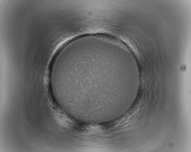 X0000099570583200805161519