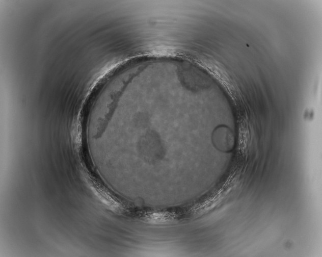 X0000099570584200805161519