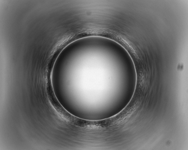 X0000099570586200805161519