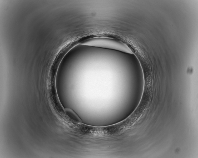 X0000099570587200805161519