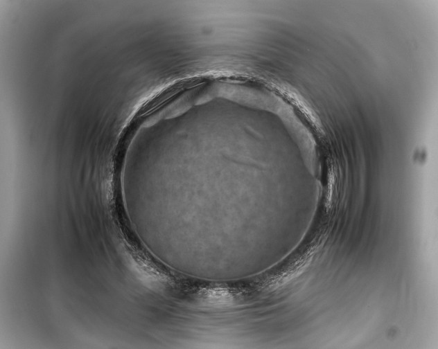 X0000099570588200805161519