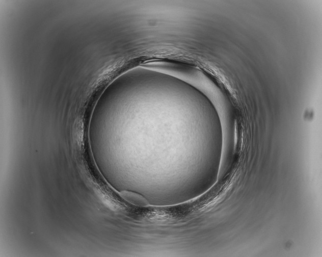 X0000099570589200805161519