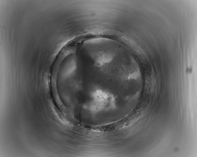 X0000099570592200805161519