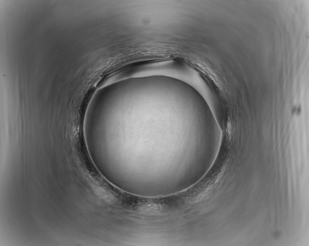 X0000099570593200805161519