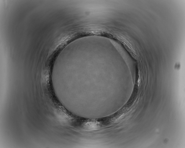 X0000099570595200805161519