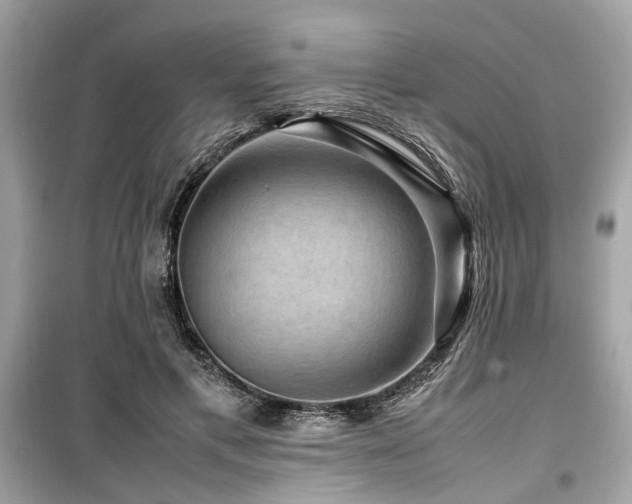 X0000099570597200805161518