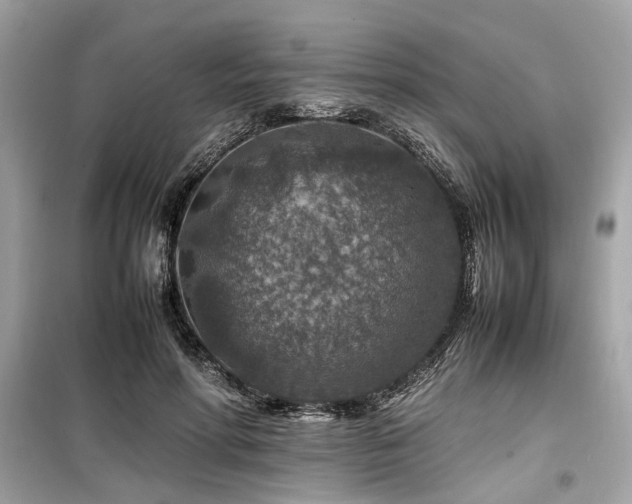 X0000099570598200805161518