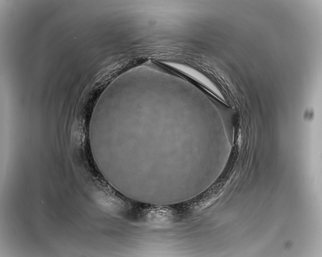 X0000099570599200805161518