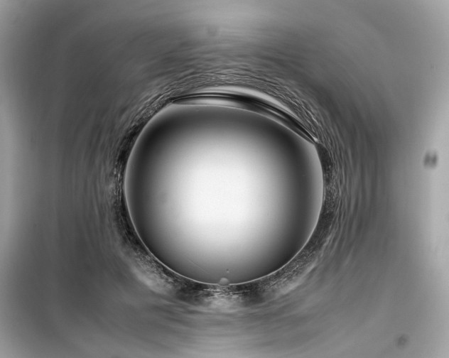 X0000099570601200805161518