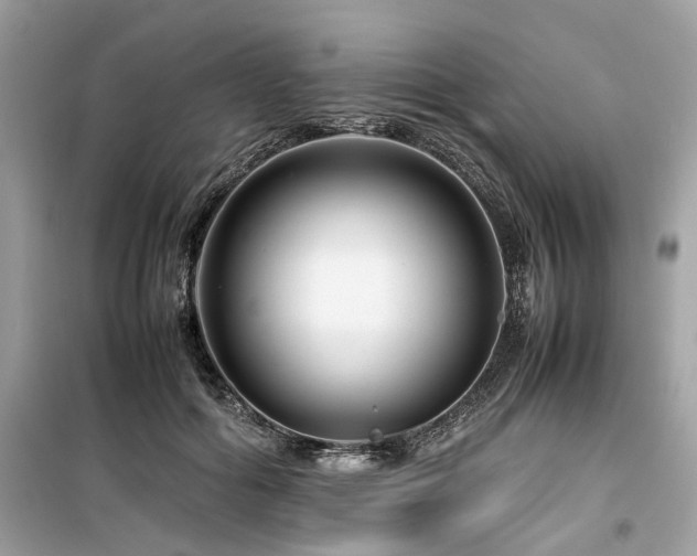 X0000099570602200805161518