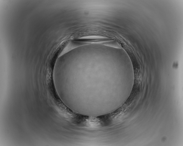 X0000099570603200805161518