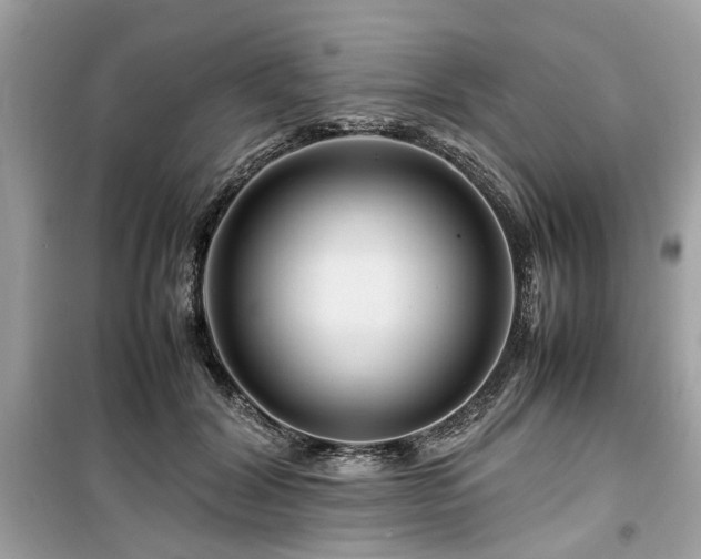 X0000099570604200805161518