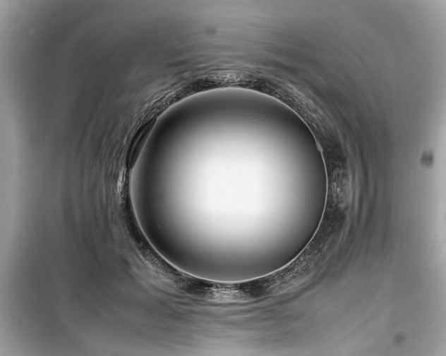 X0000099570605200805161518