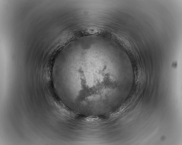 X0000099570606200805161518