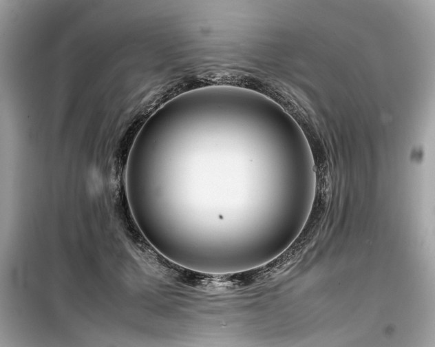 X0000099570607200805161518