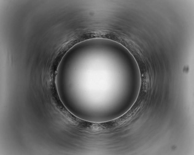 X0000099570608200805161518