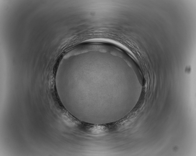 X0000099570609200805161518