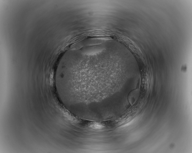 X0000099570610200805161518