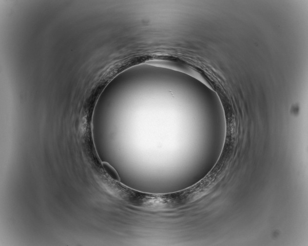 X0000099570611200805161518