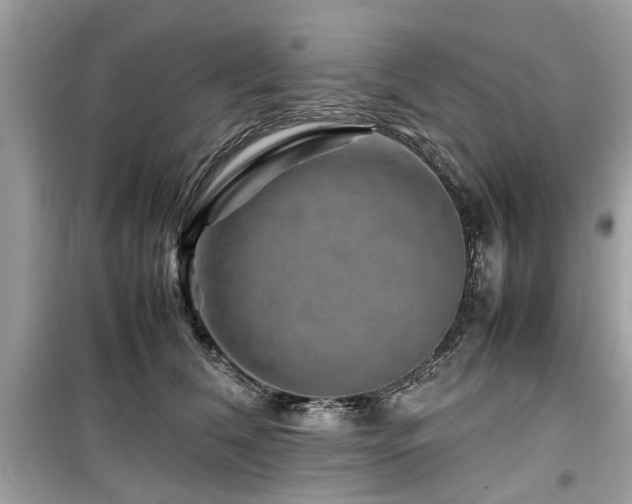 X0000099570612200805161518