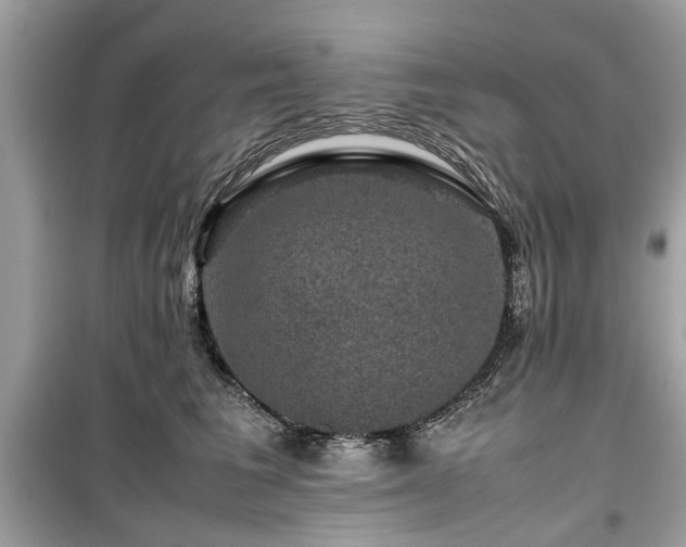 X0000099570613200805161518