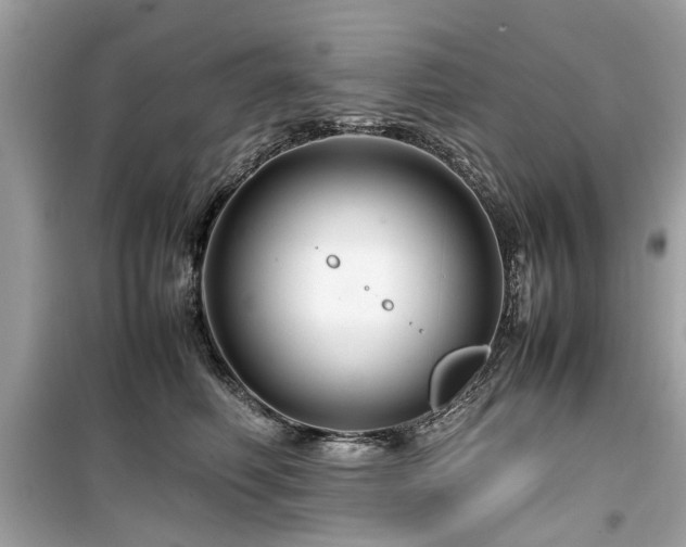 X0000099570614200805161518