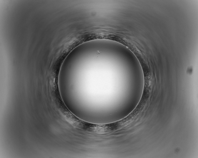 X0000099570615200805161518