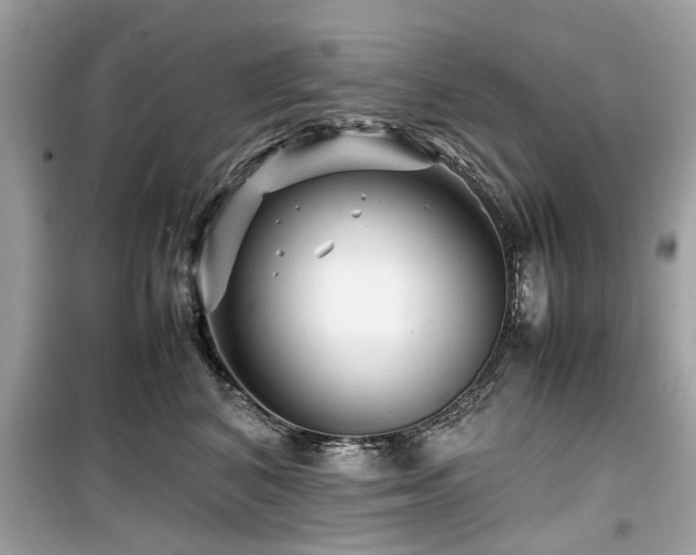 X0000099570616200805161518