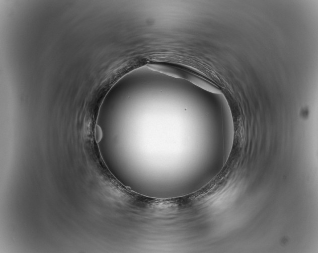 X0000099570619200805161518