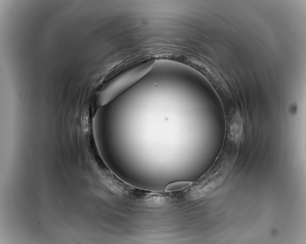 X0000099570620200805161518