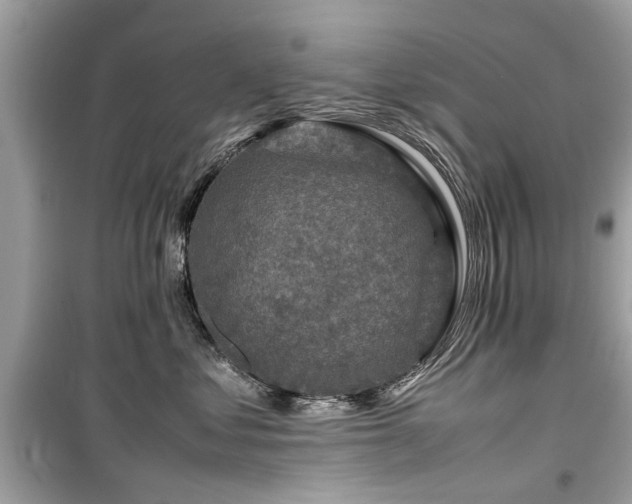 X0000099570621200805161518