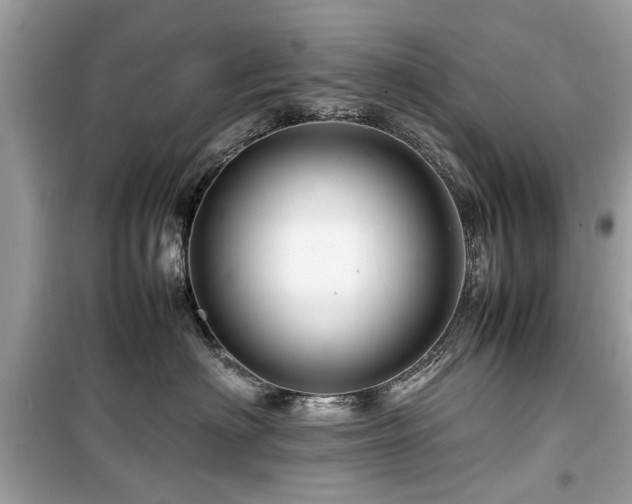 X0000099570622200805161518