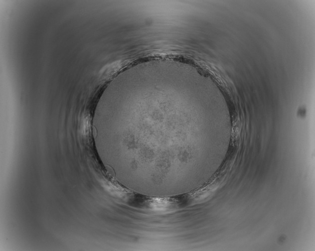 X0000099570623200805161518