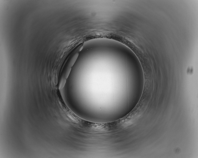 X0000099570624200805161518