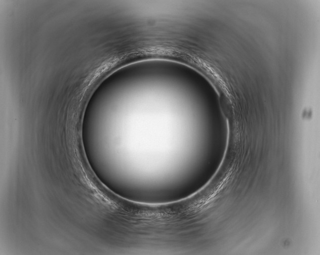 X0000099570625200805161517