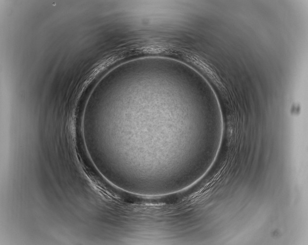 X0000099570626200805161517