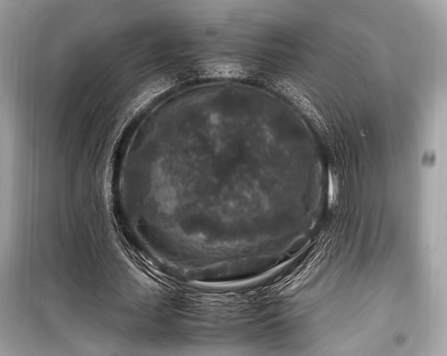 X0000099570627200805161517