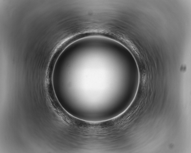 X0000099570628200805161517