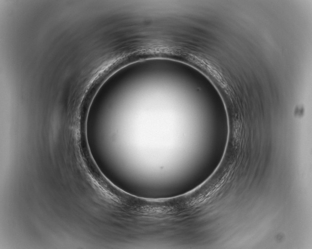 X0000099570629200805161517