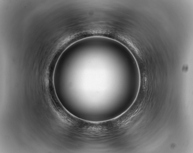 X0000099570631200805161517