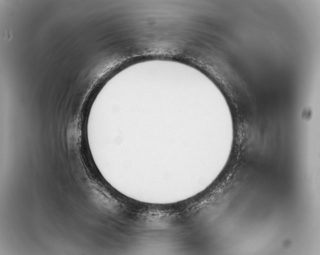 X0000099570632200805161517