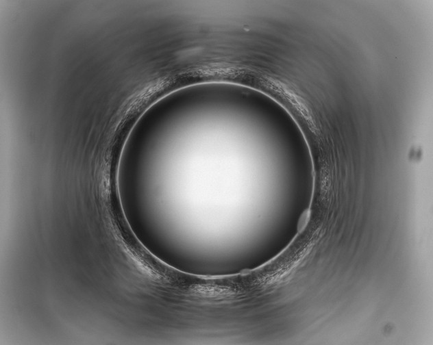 X0000099570633200805161517