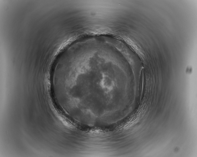 X0000099570634200805161517