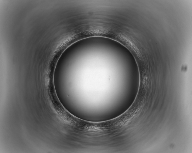 X0000099570635200805161517