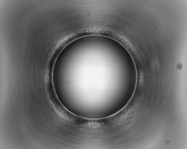 X0000099570636200805161518