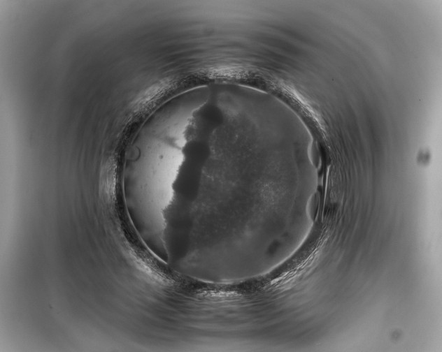 X0000099570637200805161518